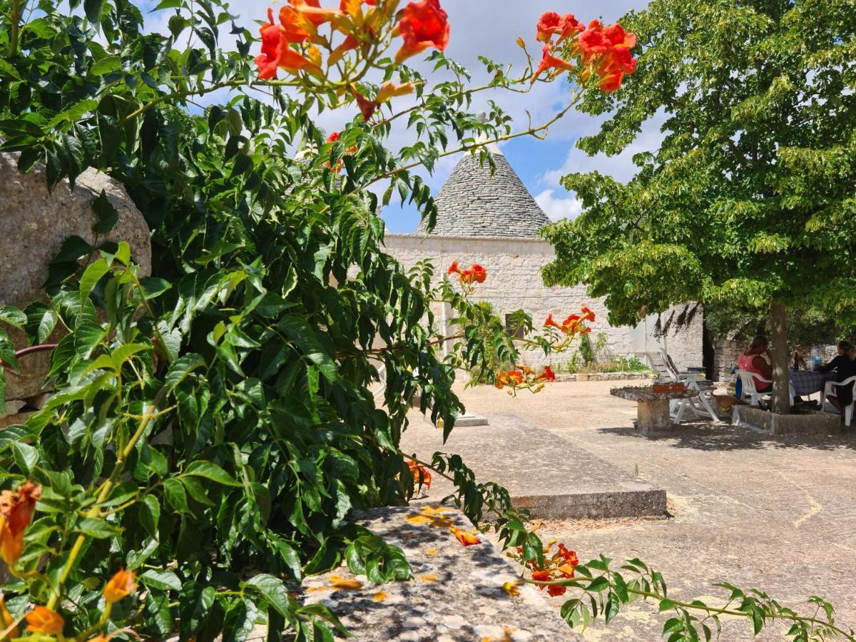 Trulli L'Utopia Di Anny Trulli Anny'S Utopia ロコロトンド エクステリア 写真