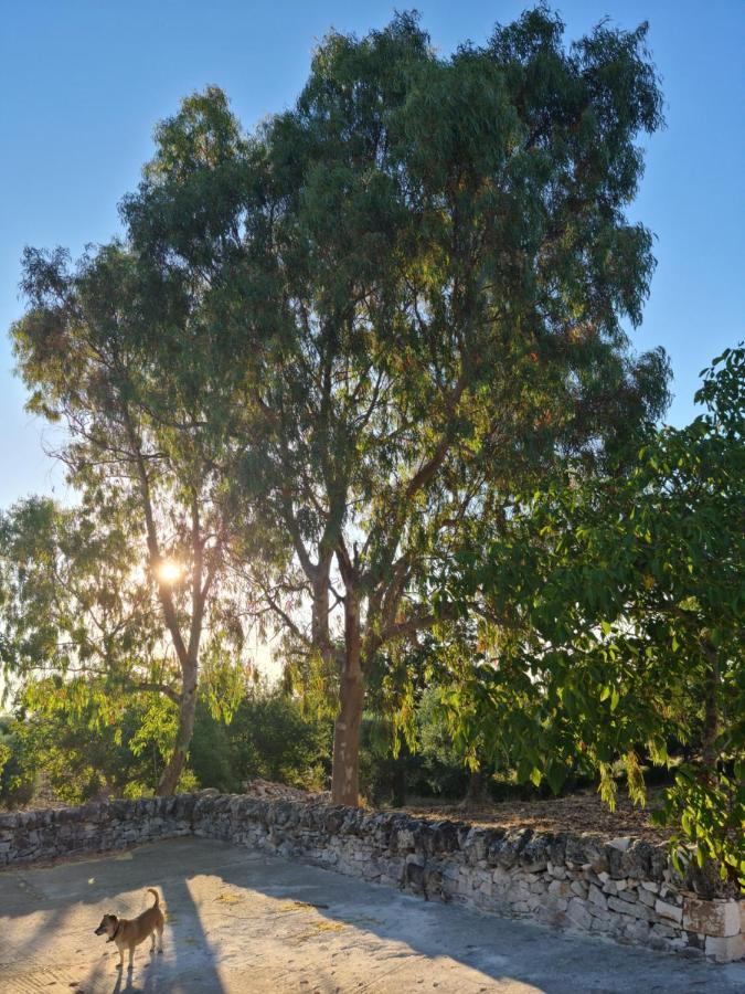 Trulli L'Utopia Di Anny Trulli Anny'S Utopia ロコロトンド エクステリア 写真