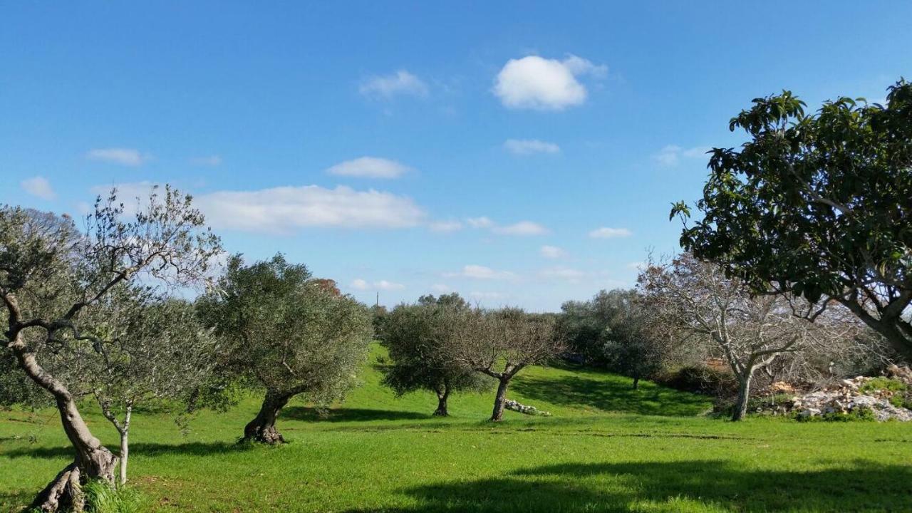 Trulli L'Utopia Di Anny Trulli Anny'S Utopia ロコロトンド エクステリア 写真